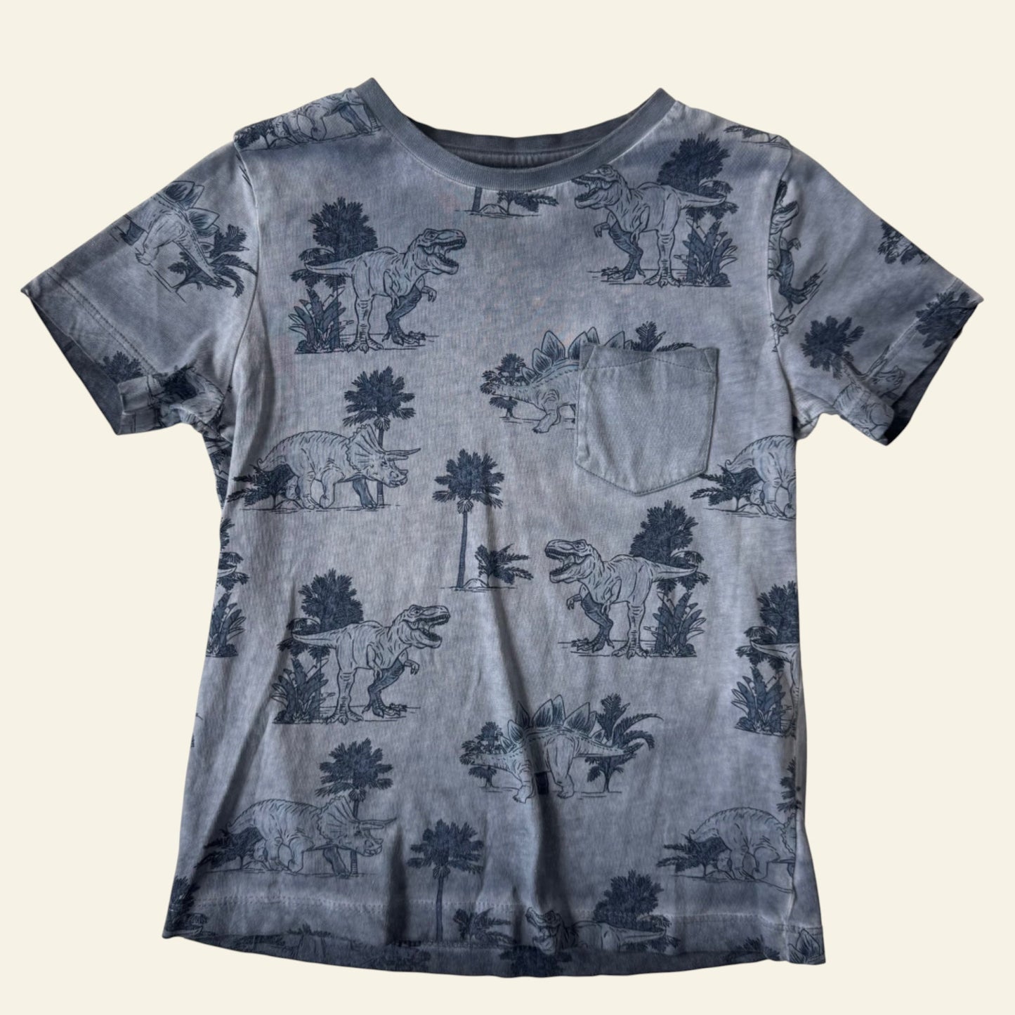 Target blue dinosaur tshirt size 4