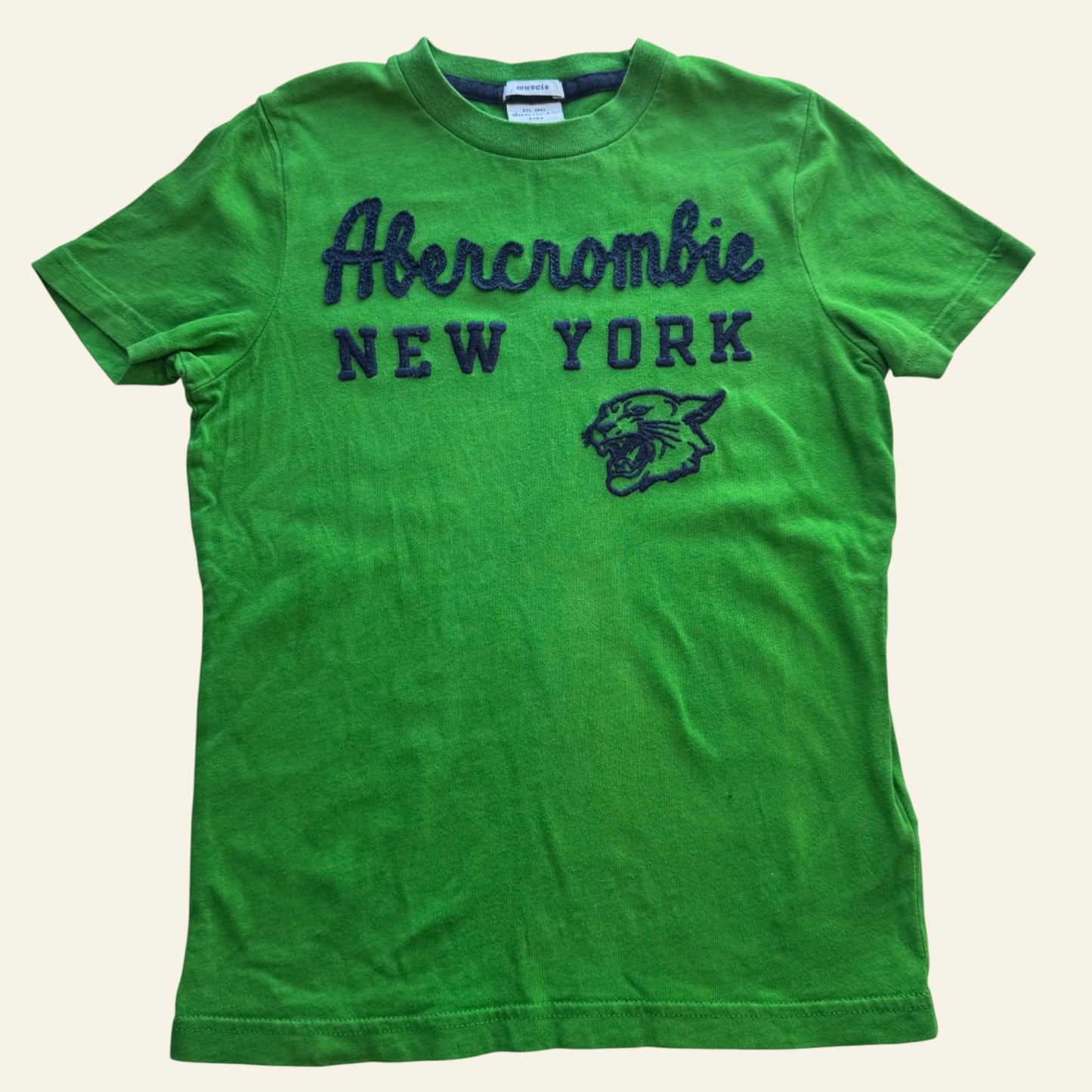 Abercrombie green New York tshirt size S (Perfectly Imperfect)