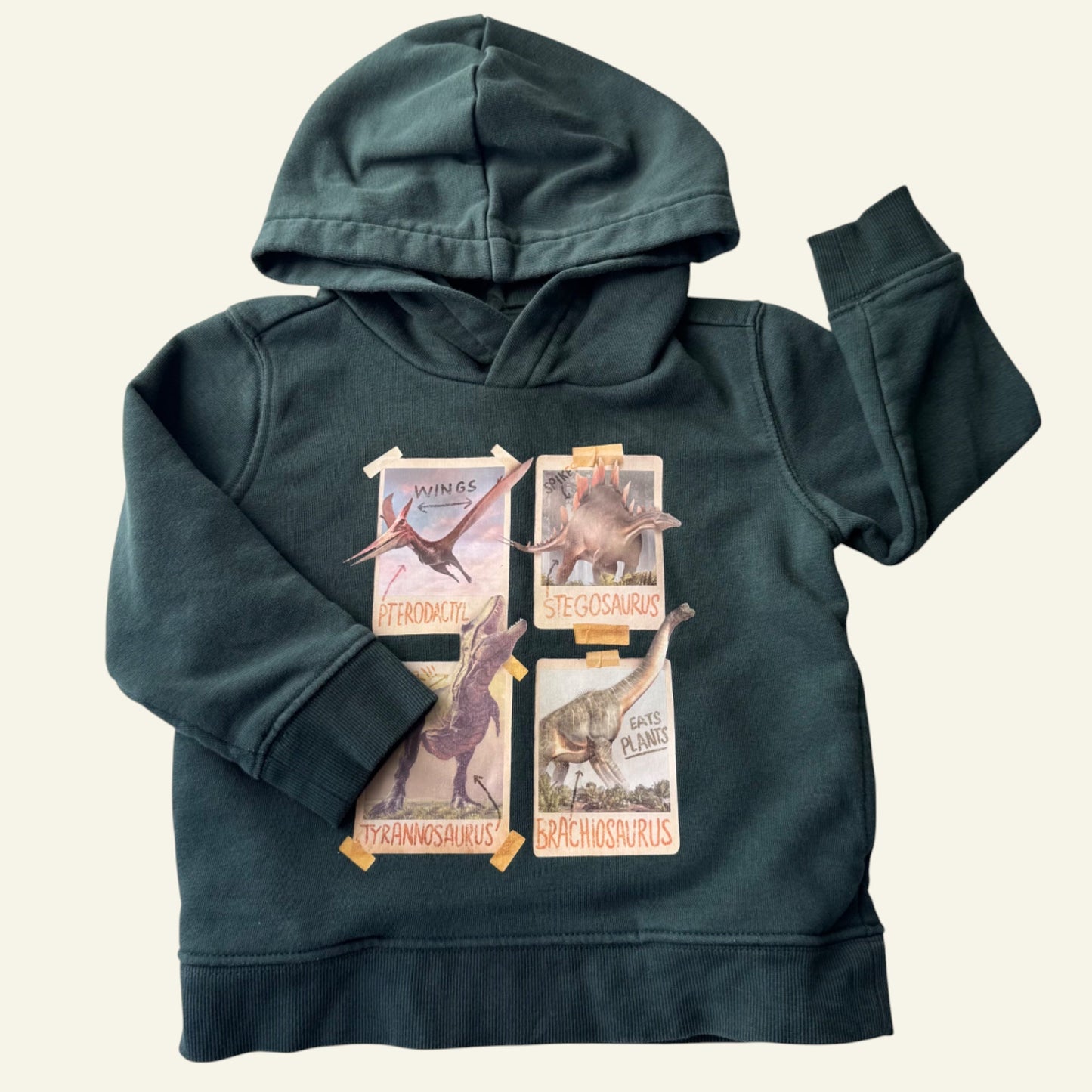 Target green dino hoodie size 2 (Perfectly Imperfect)