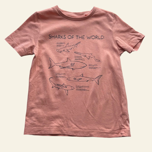 Brilliant Basics orange shark tshirt size 3
