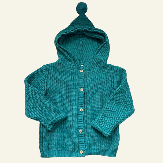 Wilson & Frenchy green hooded cardigan size 0 (name on tag)