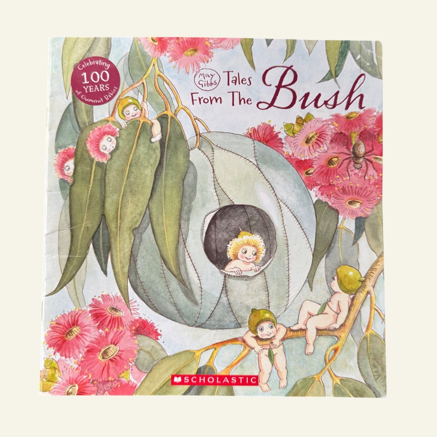 May Gibbs 'Tales from the Bush by Jane Massam (2019)