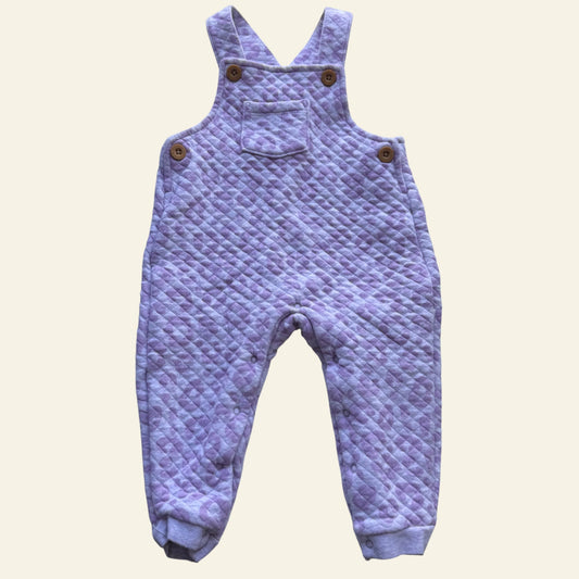 Sprout purple leopard overalls size 0