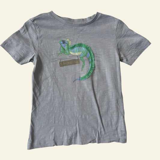 Target grey lounging lizard tshirt size 4