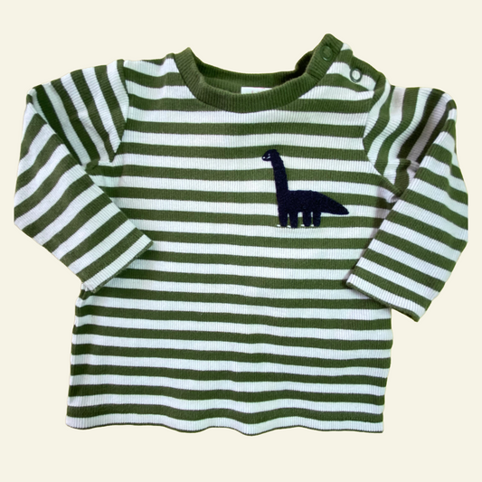 Seed green and white strip dino top size 000