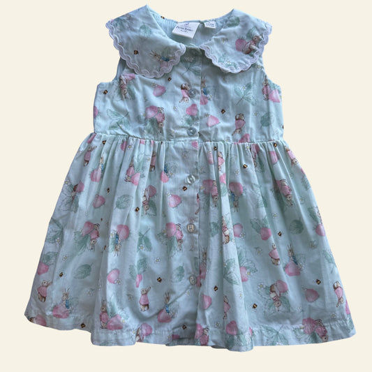Peter Rabbit green strawberry dress size 1