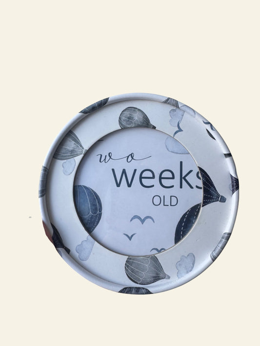 Snuggle Hunny milestone discs